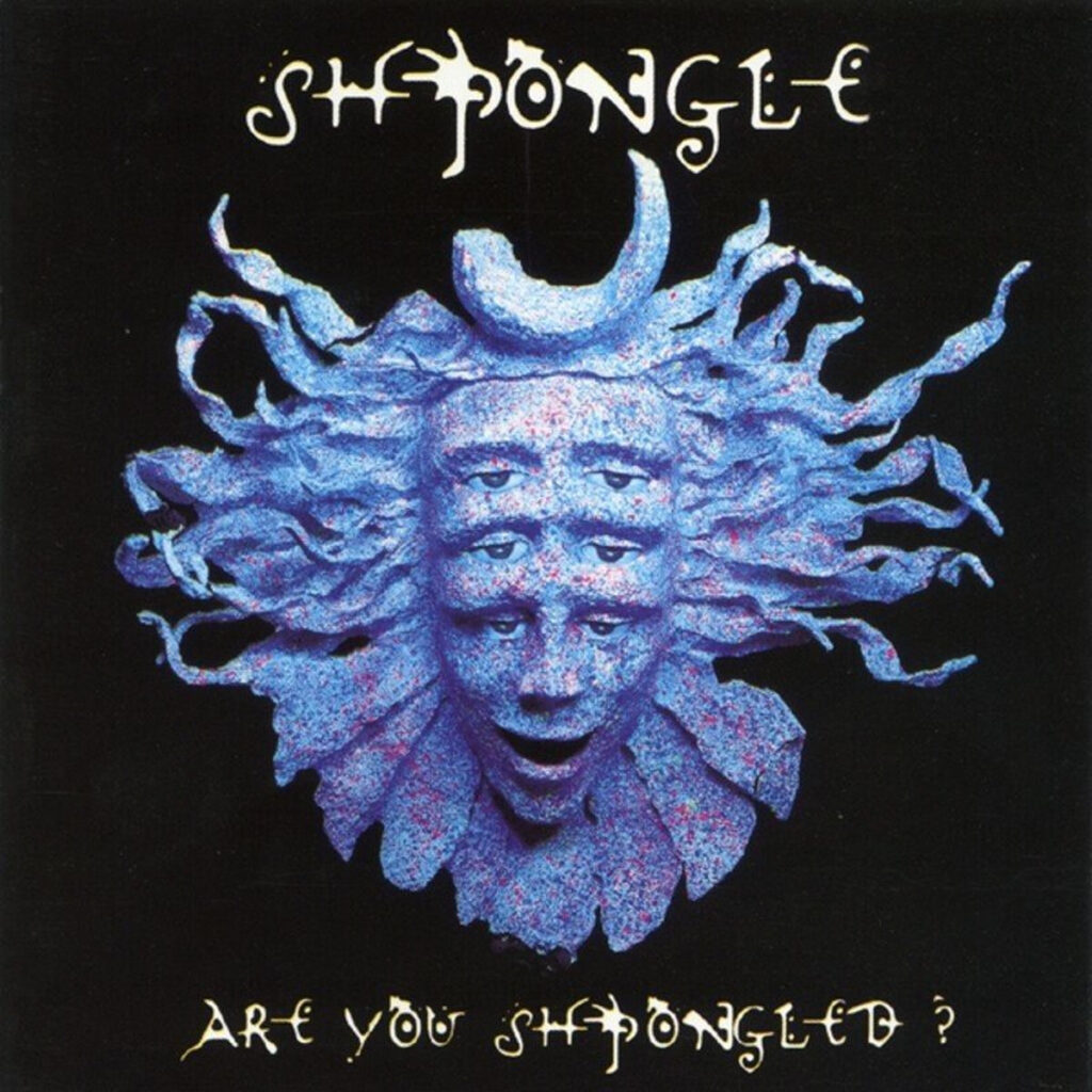 Divine Moments of Truth shpongle